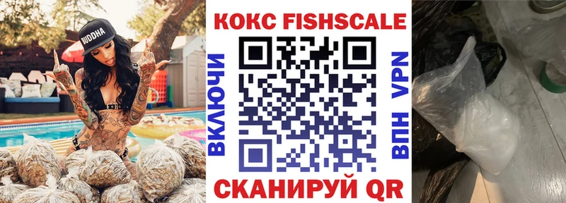 COCAIN Fish Scale  Муром 