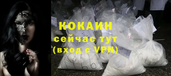 сатива Новокубанск