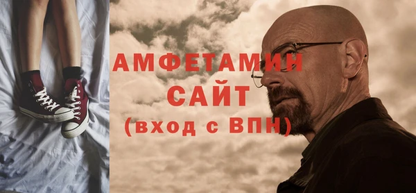 крисы Новозыбков