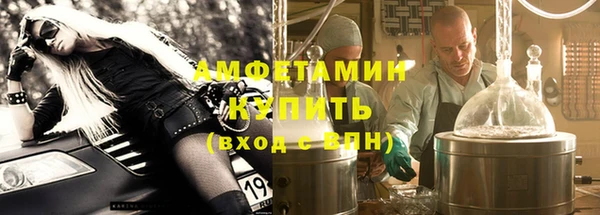сатива Новокубанск