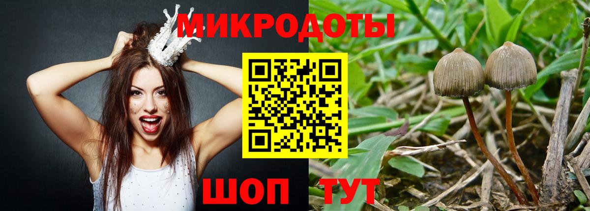 Галлюциногенные грибы Psilocybine cubensis  Вход с VPN  Муром  Галлюциногенные грибы Cubensis 