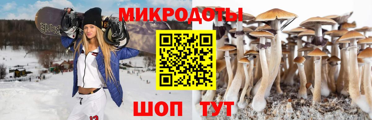 Галлюциногенные грибы MAGIC MUSHROOMS Муром