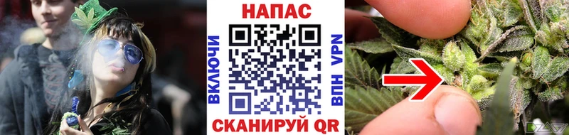 купить наркотик  Муром  Конопля ГИДРОПОН 