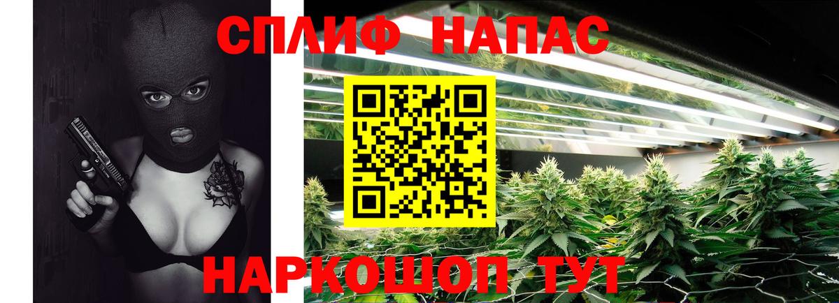 Шишки марихуана LSD WEED  Канабис THC 21%  Вход с VPN  Каннабис VHQ  Муром  Марихуана SATIVA & INDICA 